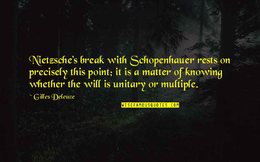 Point Break Quotes By Gilles Deleuze: Nietzsche's break with Schopenhauer rests on precisely this