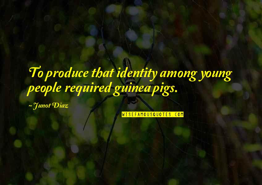 Pointlessly Quotes By Junot Diaz: To produce that identity among young people required