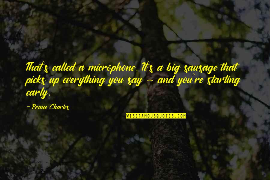 Poison Apples Quotes By Prince Charles: That's called a microphone. It's a big sausage Poison Apples Quotes By Prince Charles: That's called a microphone. It's a big sausage