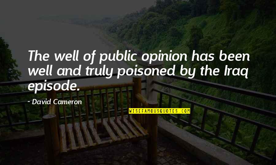 Poisoned Well Quotes By David Cameron: The well of public opinion has been well