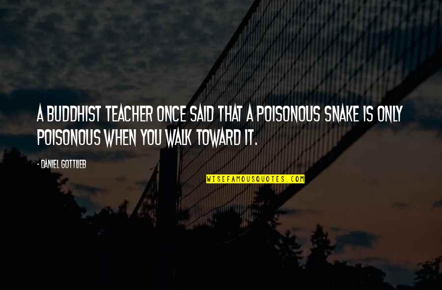 Poisonous Snake Quotes By Daniel Gottlieb: A Buddhist teacher once said that a poisonous