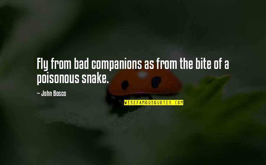 Poisonous Snake Quotes By John Bosco: Fly from bad companions as from the bite