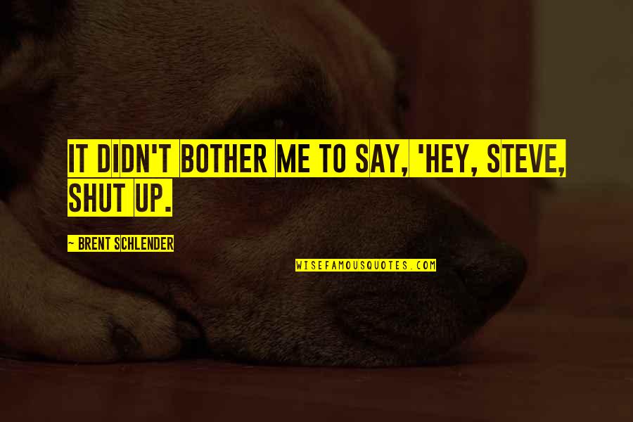 Poke Hole In Eggs Quotes By Brent Schlender: it didn't bother me to say, 'Hey, Steve,
