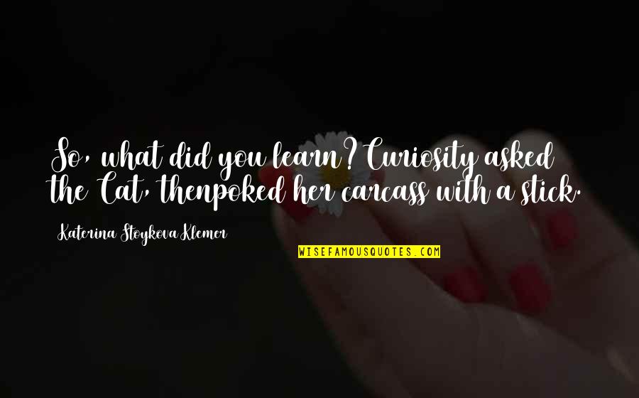 Poked Quotes By Katerina Stoykova Klemer: So, what did you learn?Curiosity asked the Cat,