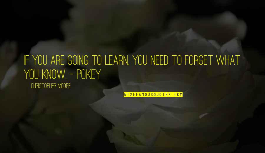 Pokey Quotes By Christopher Moore: If you are going to learn, you need