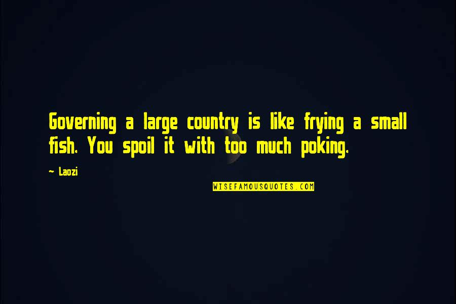 Poking Quotes By Laozi: Governing a large country is like frying a