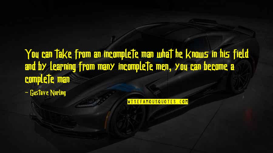 Pokoji Ili Quotes By Gustave Norling: You can take from an incomplete man what