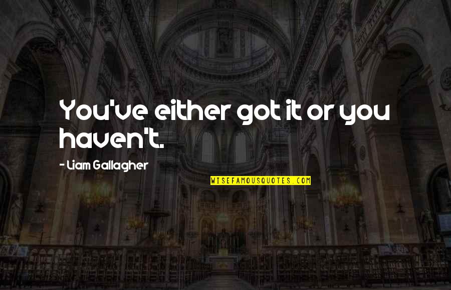 Poksi Varustus Quotes By Liam Gallagher: You've either got it or you haven't.
