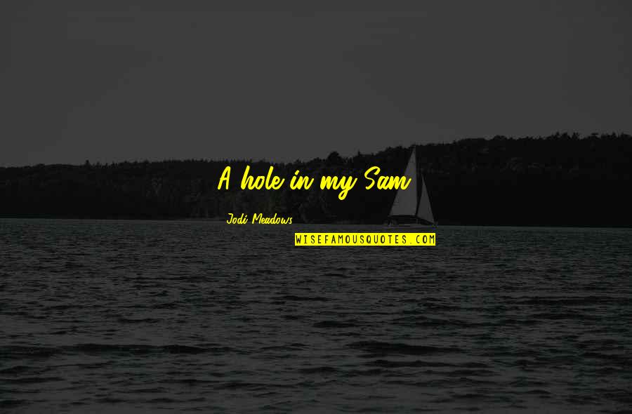 Pol Kova 29 Vala Sk Mezir C Quotes By Jodi Meadows: A hole in my Sam. Pol Kova 29 Vala Sk Mezir C Quotes By Jodi Meadows: A hole in my Sam.