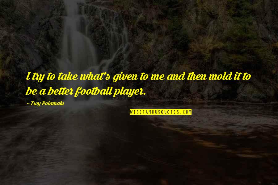 Polamalu Quotes By Troy Polamalu: I try to take what's given to me