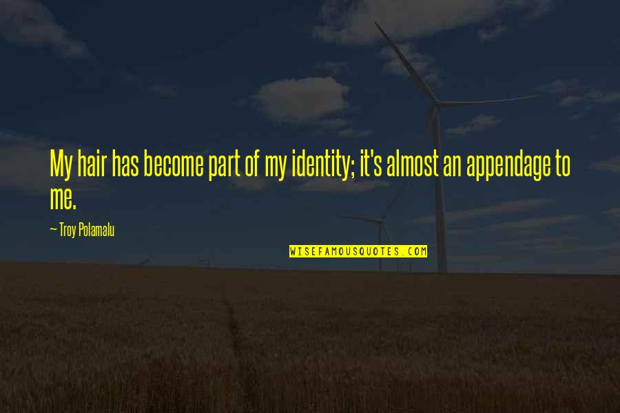 Polamalu Quotes By Troy Polamalu: My hair has become part of my identity;