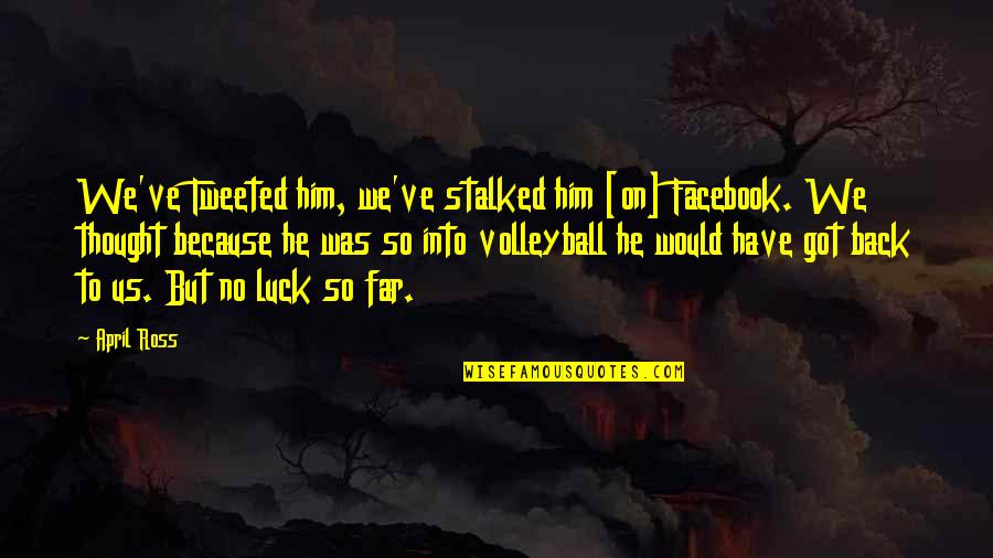 Polamalu Song Quotes By April Ross: We've Tweeted him, we've stalked him [on] Facebook.