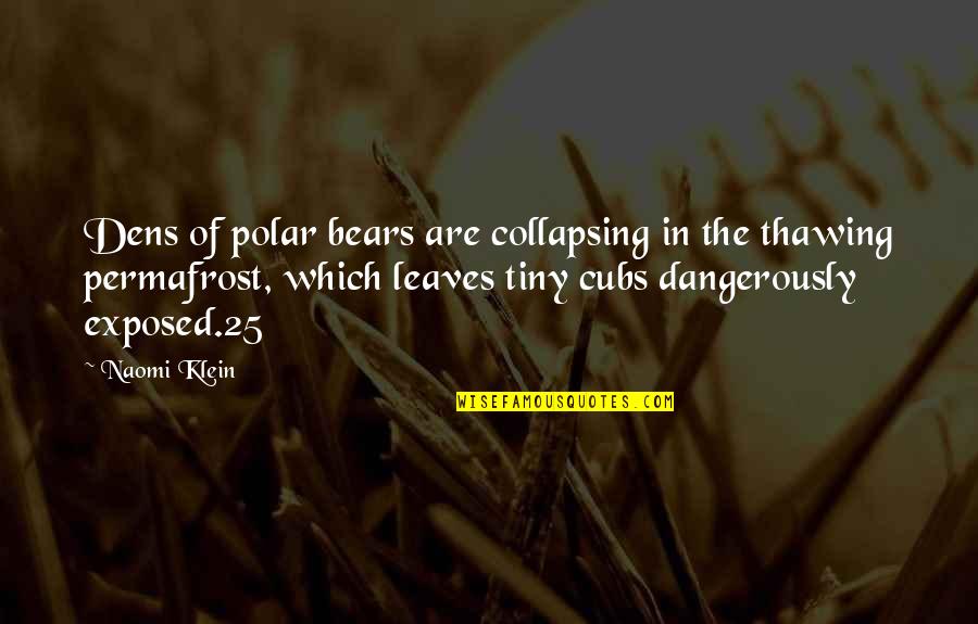 Polar Bears Quotes By Naomi Klein: Dens of polar bears are collapsing in the
