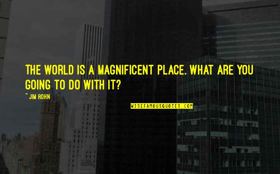 Polar Opposite Quotes By Jim Rohn: The world is a magnificent place. What are