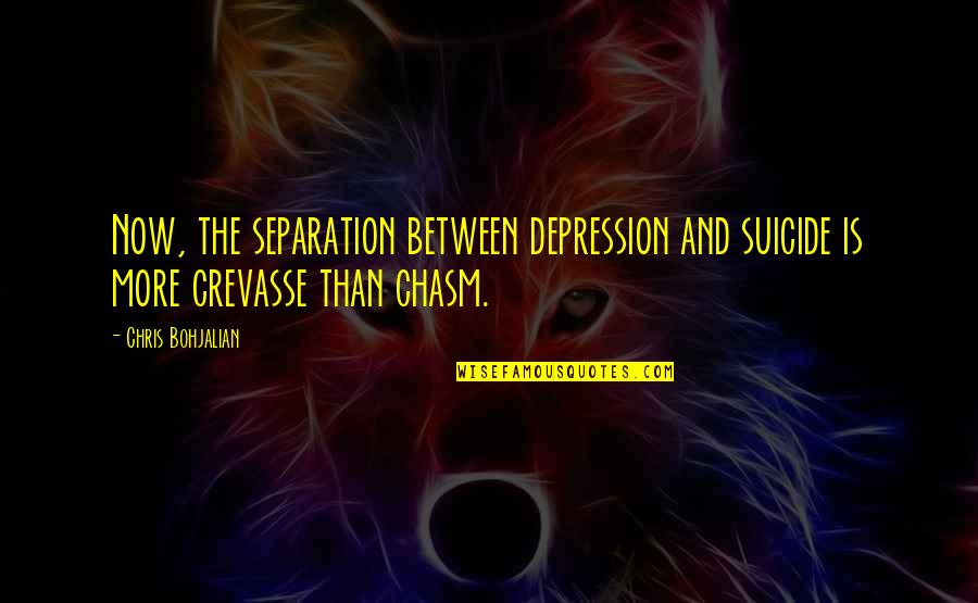 Polar Region Quotes By Chris Bohjalian: Now, the separation between depression and suicide is