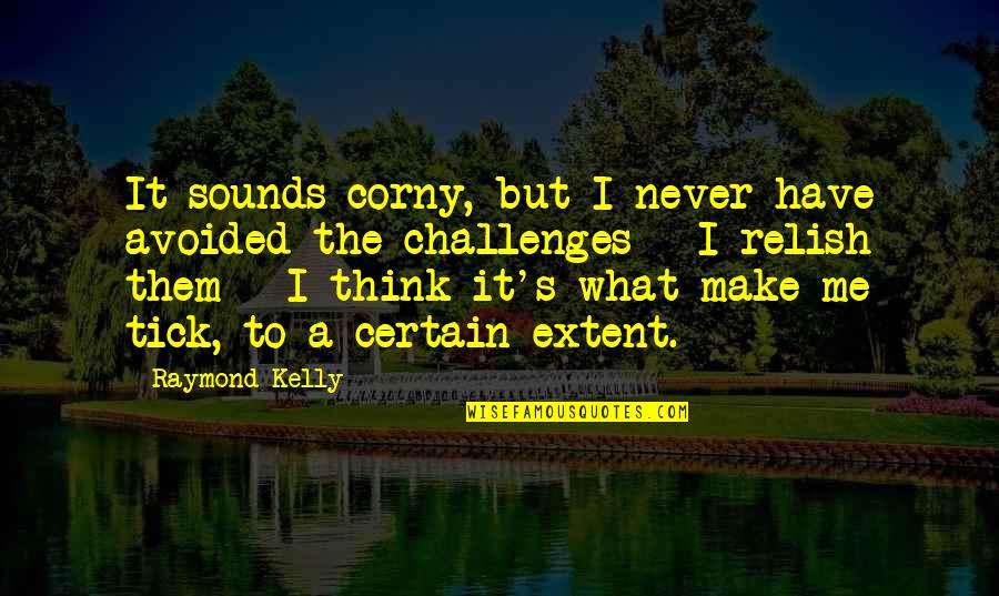 Polasek Capen Quotes By Raymond Kelly: It sounds corny, but I never have avoided Polasek Capen Quotes By Raymond Kelly: It sounds corny, but I never have avoided