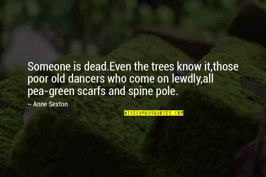 Pole Dancers Quotes By Anne Sexton: Someone is dead.Even the trees know it,those poor