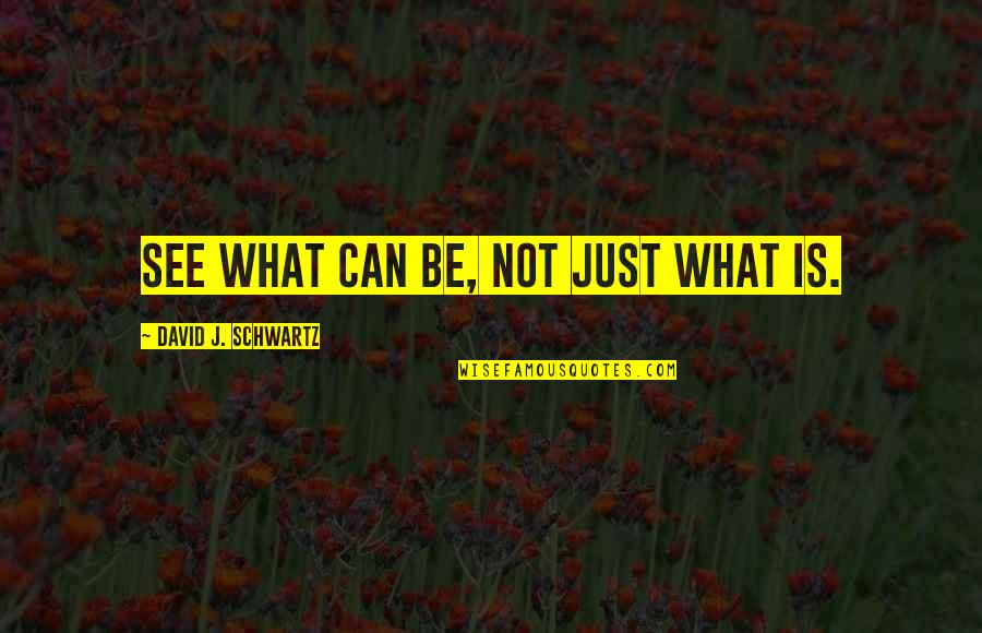 Polegada Para Quotes By David J. Schwartz: See what can be, not just what is.