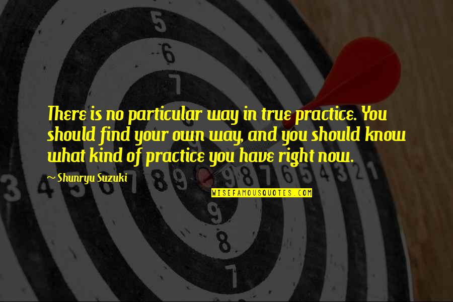 Police Line Up Quotes By Shunryu Suzuki: There is no particular way in true practice. Police Line Up Quotes By Shunryu Suzuki: There is no particular way in true practice.