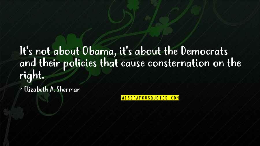 Policies Quotes By Elizabeth A. Sherman: It's not about Obama, it's about the Democrats