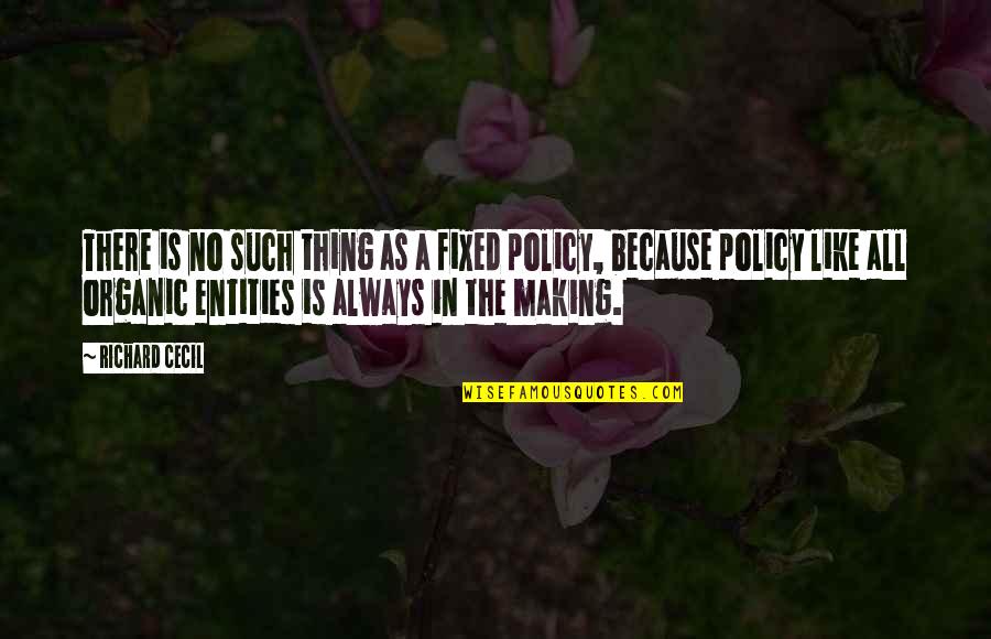 Policy Is Quotes By Richard Cecil: There is no such thing as a fixed