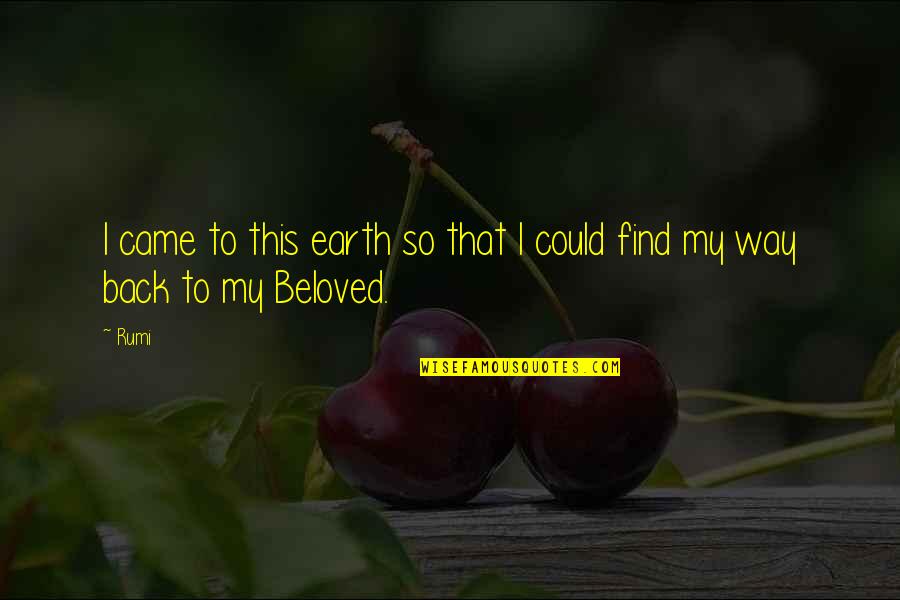 Poliestudios Quotes By Rumi: I came to this earth so that I