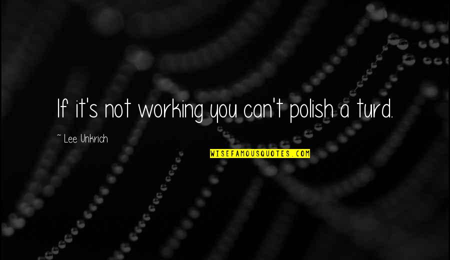 Polish Quotes By Lee Unkrich: If it's not working you can't polish a