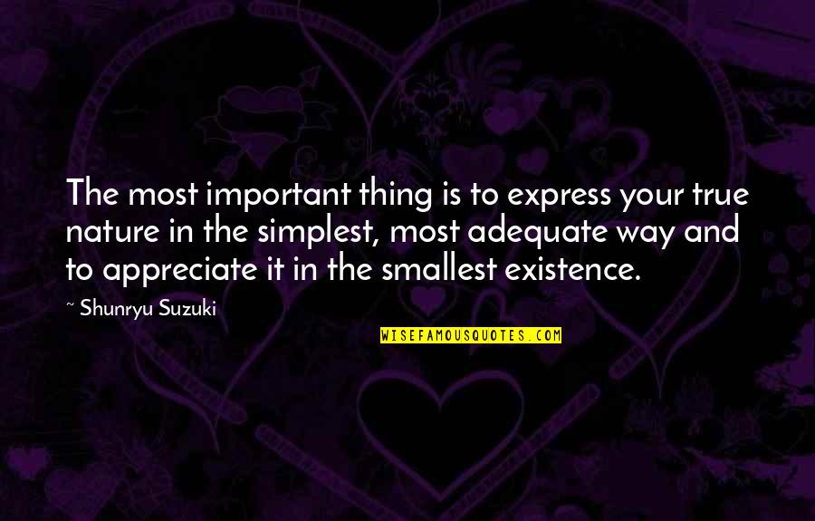 Polisse 2011 Quotes By Shunryu Suzuki: The most important thing is to express your