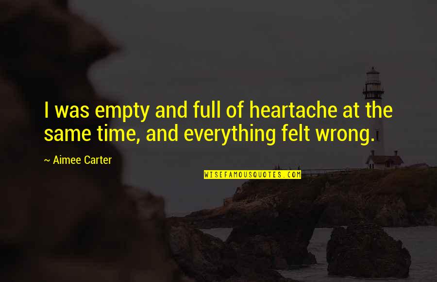 Polita De Asigurare Quotes By Aimee Carter: I was empty and full of heartache at