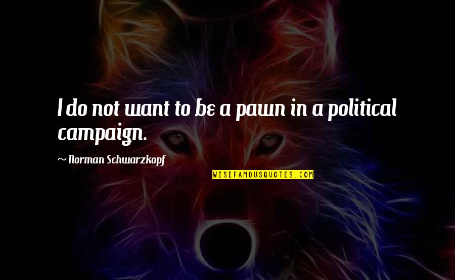 Political Campaign Quotes By Norman Schwarzkopf: I do not want to be a pawn