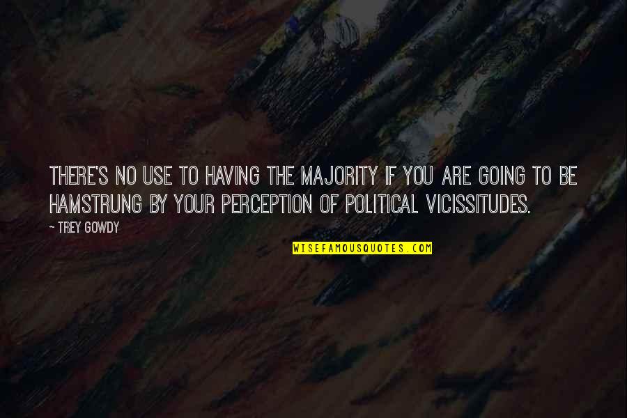 Political Majority Quotes By Trey Gowdy: There's no use to having the majority if