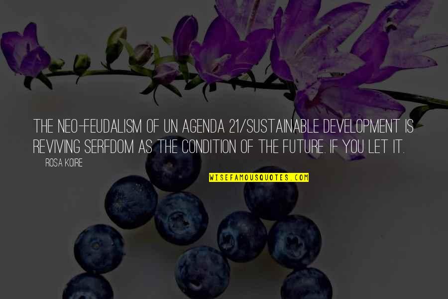 Political Science Quotes By Rosa Koire: The Neo-Feudalism of UN Agenda 21/Sustainable Development is Political Science Quotes By Rosa Koire: The Neo-Feudalism of UN Agenda 21/Sustainable Development is