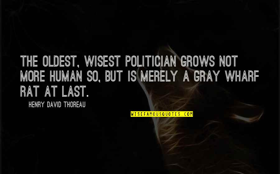 Politician Quotes By Henry David Thoreau: The oldest, wisest politician grows not more human