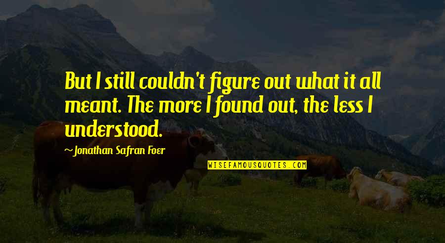 Politics And Ethics Quotes By Jonathan Safran Foer: But I still couldn't figure out what it