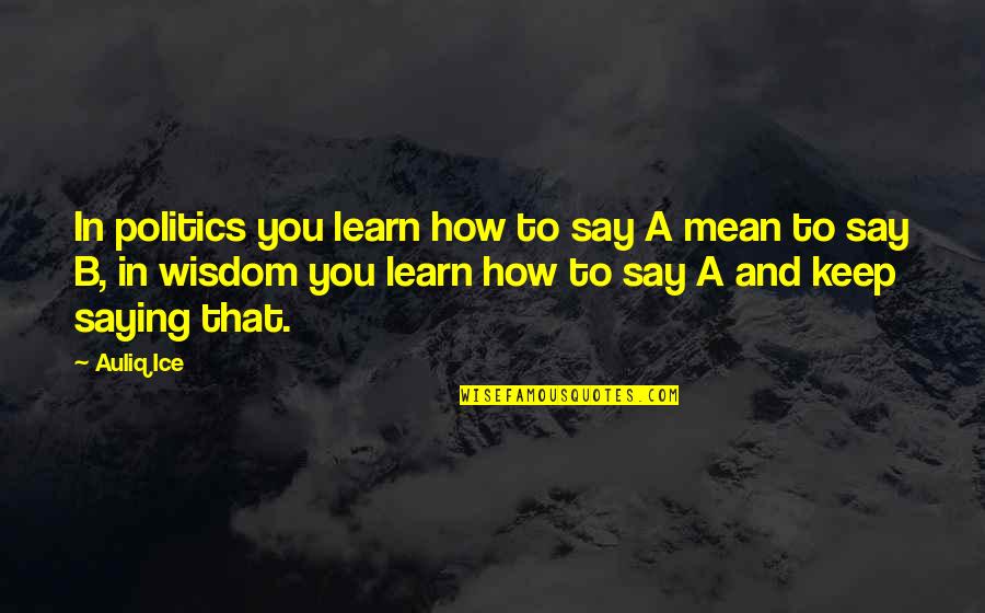 Politics And Government Quotes By Auliq Ice: In politics you learn how to say A