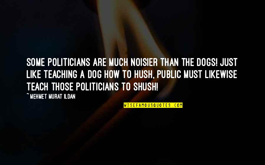 Politics Quotes And Quotes By Mehmet Murat Ildan: Some politicians are much noisier than the dogs!