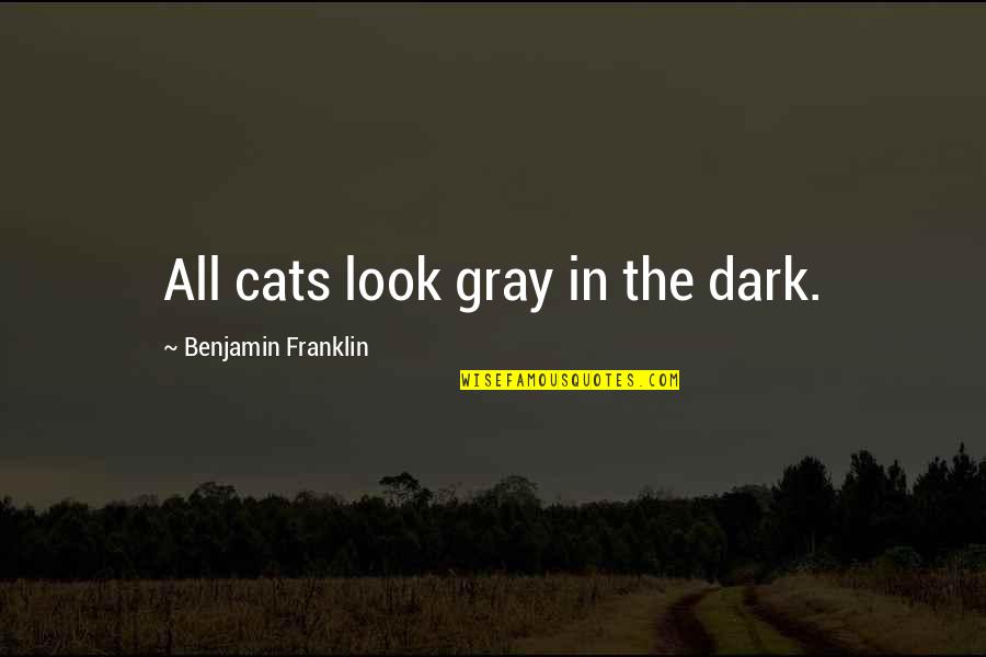 Pollards Quotes By Benjamin Franklin: All cats look gray in the dark.
