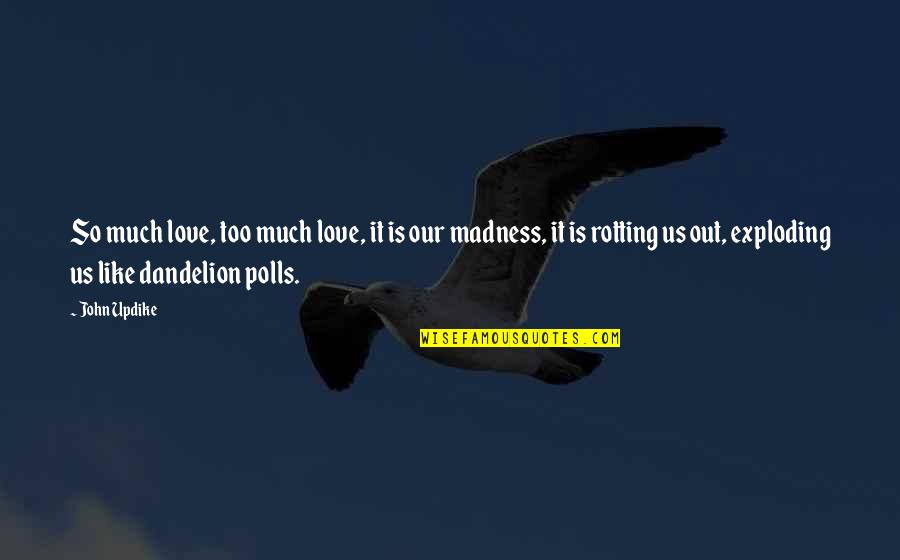 Polls Quotes By John Updike: So much love, too much love, it is