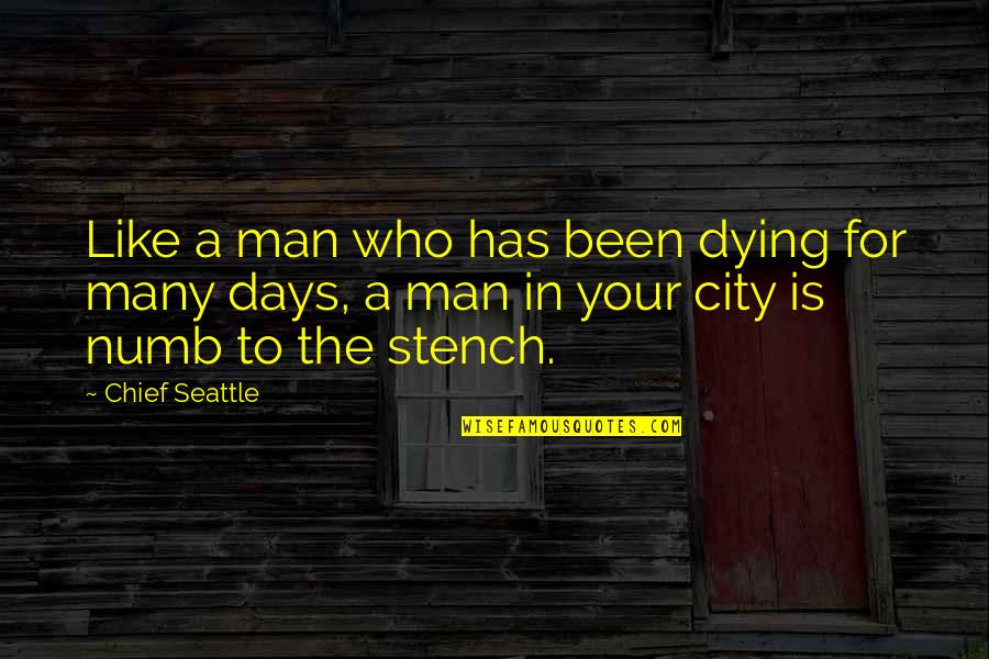 Pollution In Cities Quotes By Chief Seattle: Like a man who has been dying for