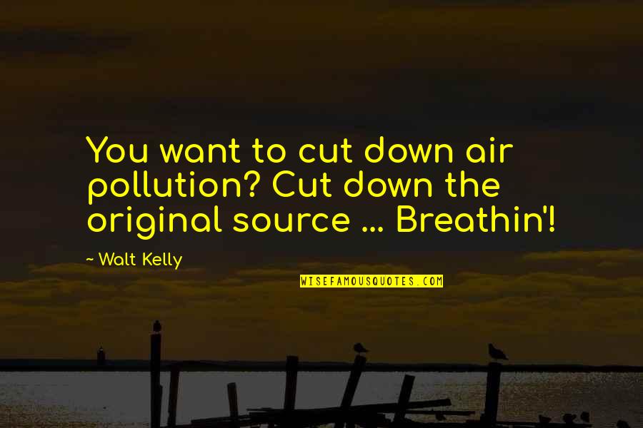 Pollution In The Air Quotes By Walt Kelly: You want to cut down air pollution? Cut