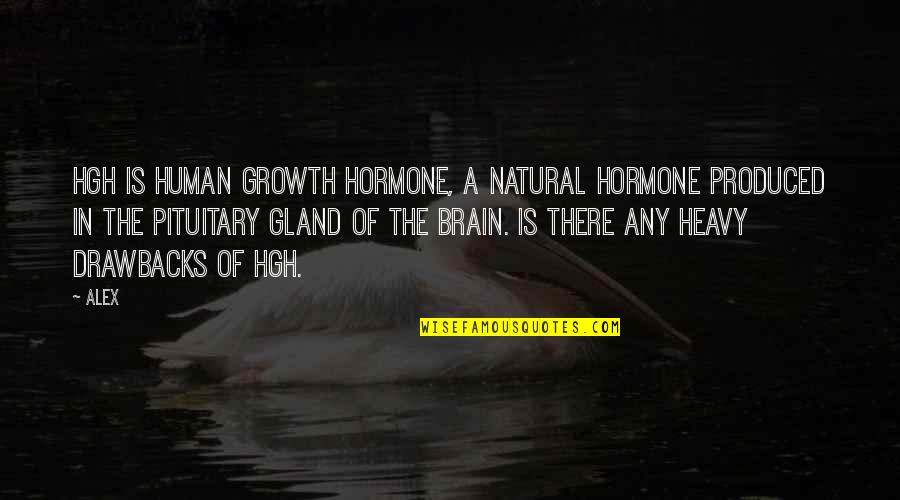 Polunin Capital Partners Quotes By Alex: HGH is Human Growth Hormone, a natural hormone Polunin Capital Partners Quotes By Alex: HGH is Human Growth Hormone, a natural hormone