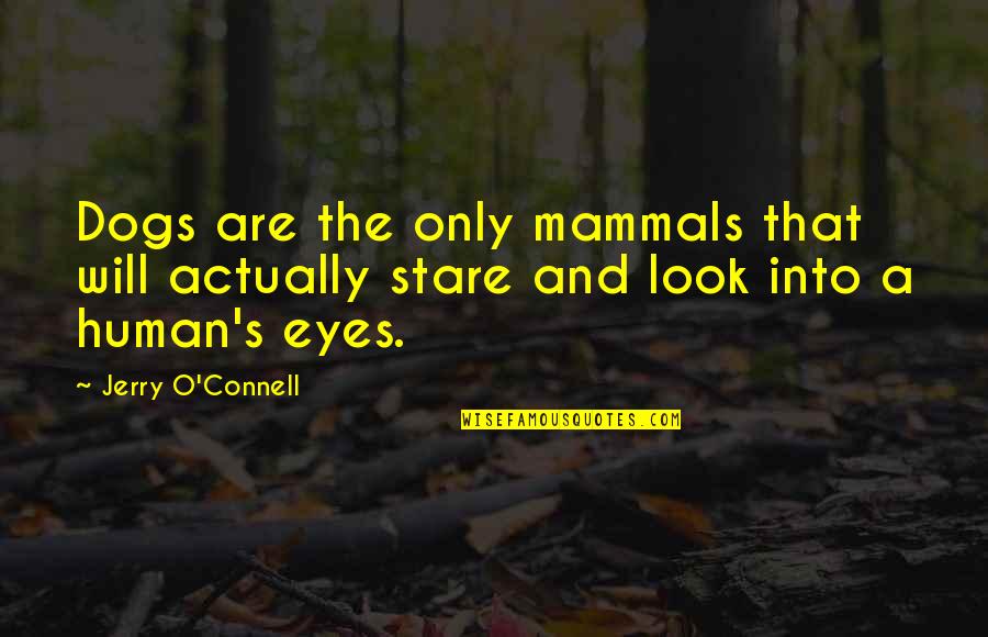Polyandry Husbands Quotes By Jerry O'Connell: Dogs are the only mammals that will actually