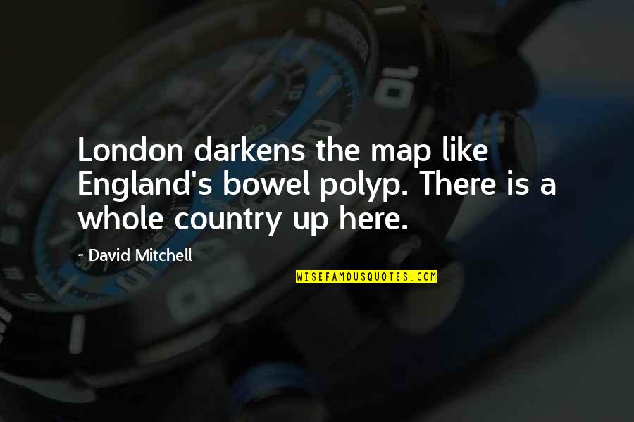 Polyp Quotes By David Mitchell: London darkens the map like England's bowel polyp.