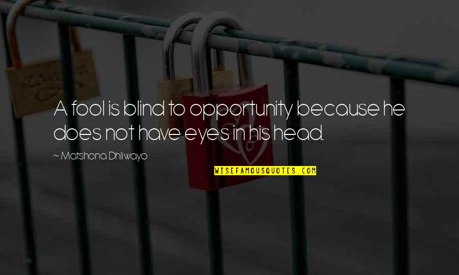 Polzer Durand Quotes By Matshona Dhliwayo: A fool is blind to opportunity because he Polzer Durand Quotes By Matshona Dhliwayo: A fool is blind to opportunity because he