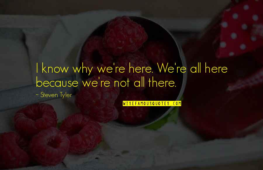 Pomaded 50s Quotes By Steven Tyler: I know why we're here. We're all here