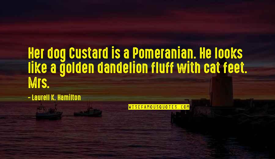 Pomeranian Quotes By Laurell K. Hamilton: Her dog Custard is a Pomeranian. He looks