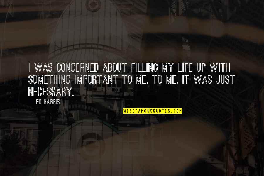 Pomeriggio Follower Quotes By Ed Harris: I was concerned about filling my life up Pomeriggio Follower Quotes By Ed Harris: I was concerned about filling my life up