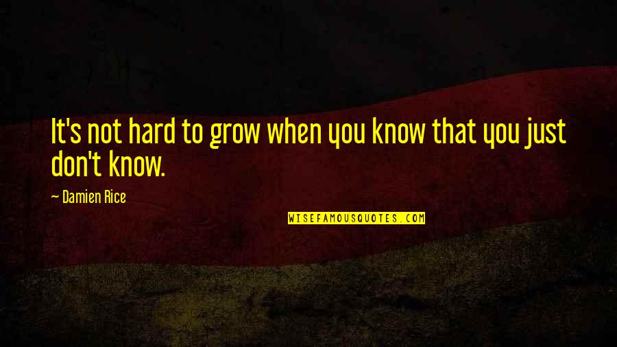 Pommel Lane Quotes By Damien Rice: It's not hard to grow when you know