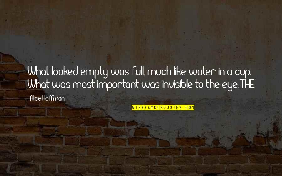 Pomylst Quotes By Alice Hoffman: What looked empty was full, much like water