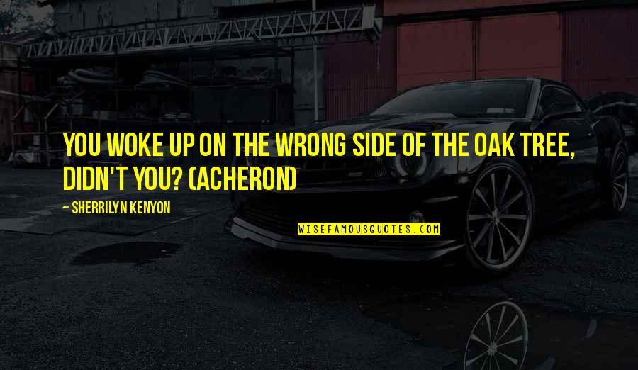Ponchione Asti Quotes By Sherrilyn Kenyon: You woke up on the wrong side of Ponchione Asti Quotes By Sherrilyn Kenyon: You woke up on the wrong side of
